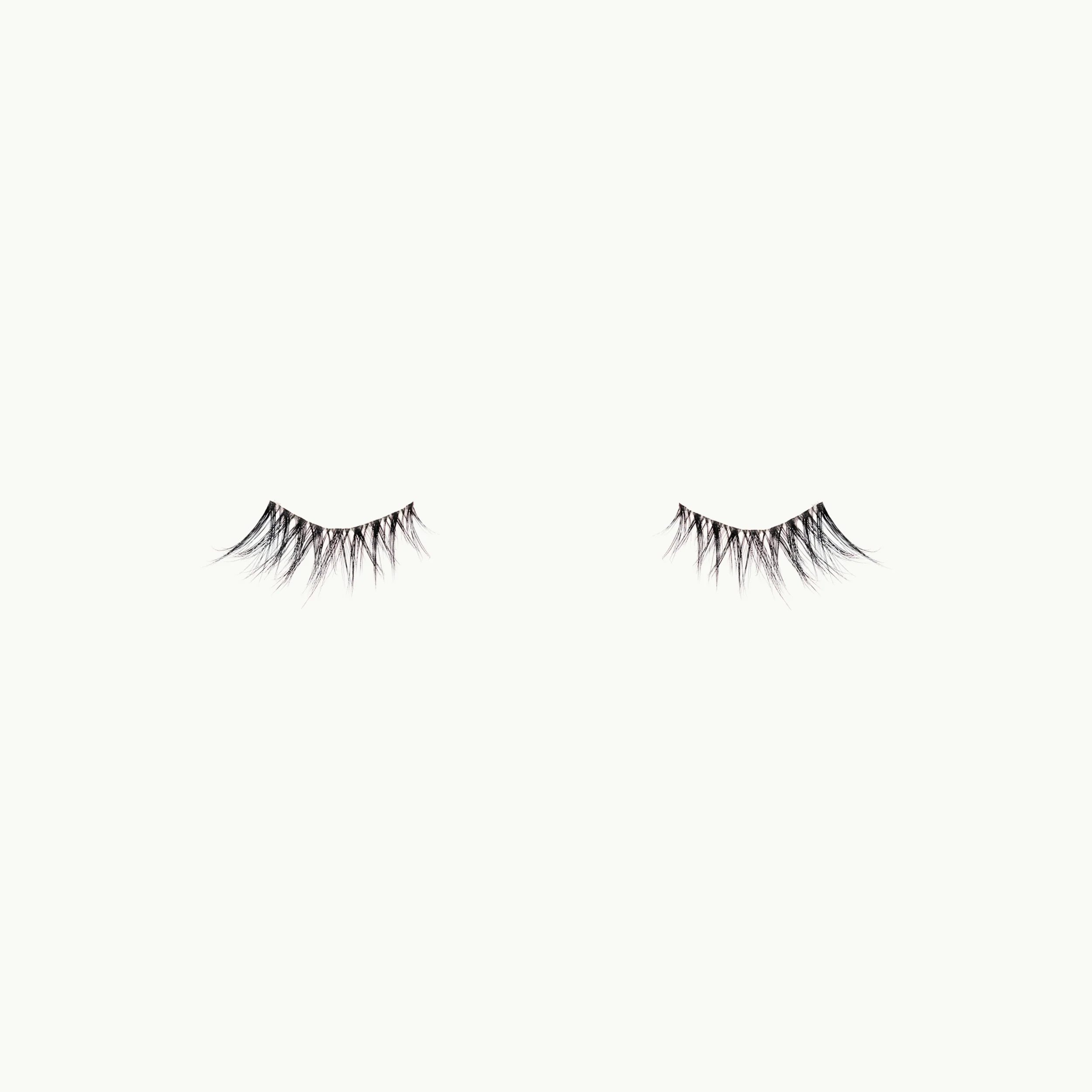 Alisha Lash - Image 3