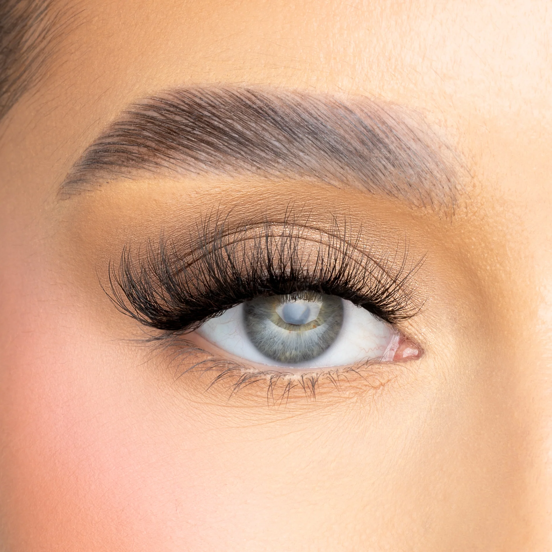 Wispy XL Lash - Image 2